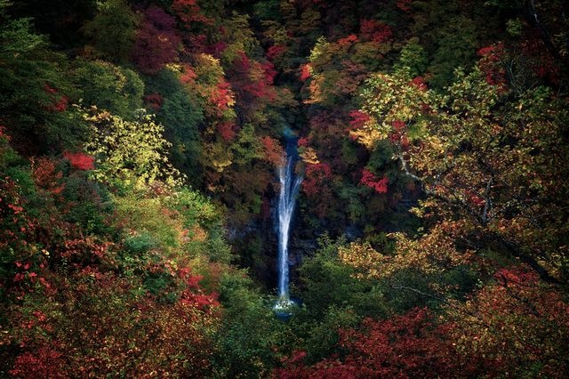 عکس | آبشاری در میان رنگ‌ها در عکس روز نشنال جئوگرافیک