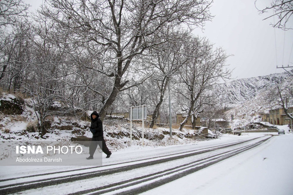تصاویر | بارش برف در ارتفاعات کرکس اصفهان