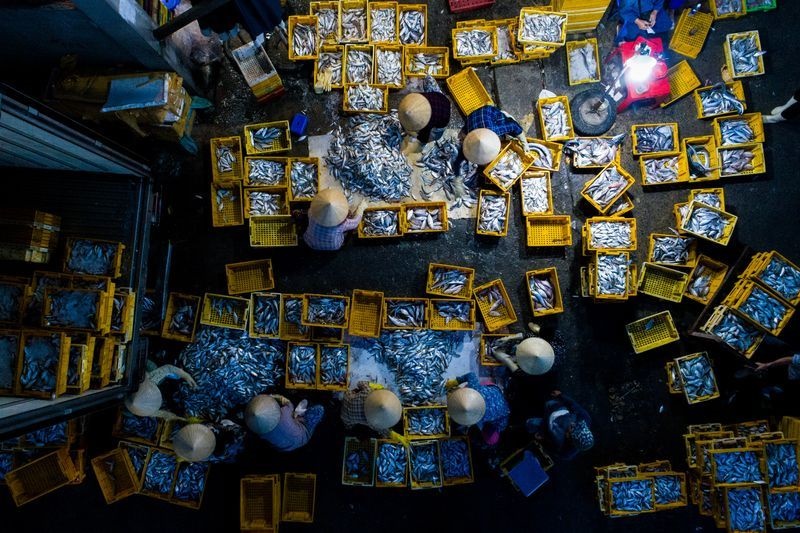 عکس | بازار ماهی ویتنام در  عکس روز نشنال جئوگرافیک 