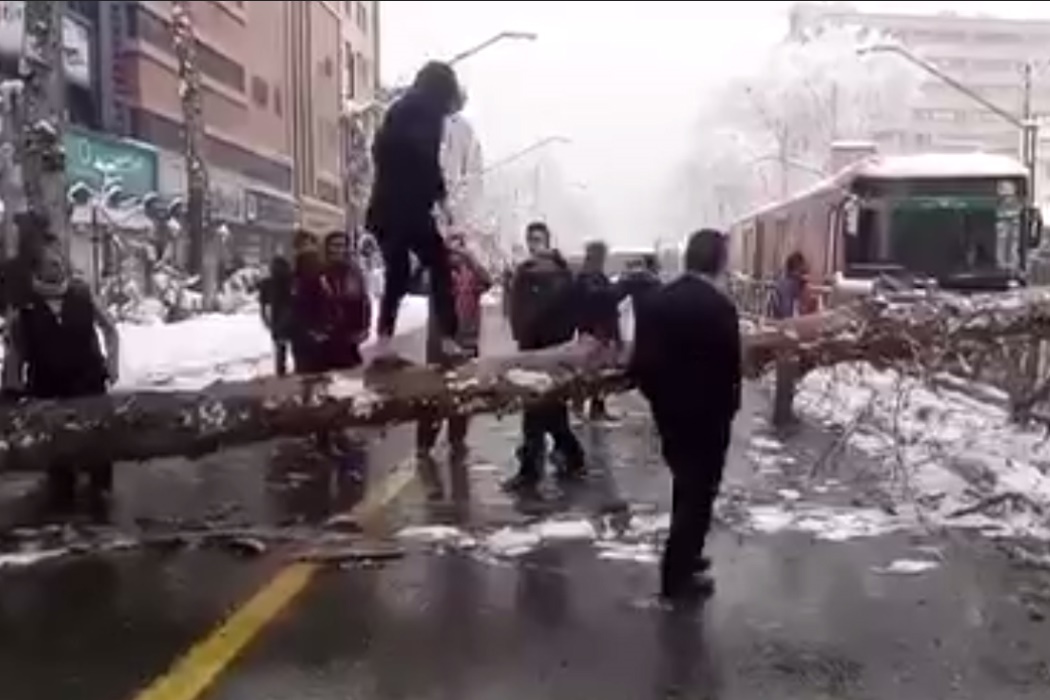 فیلم | سقوط درخت در عرض خیابان ولیعصر(عج) تهران