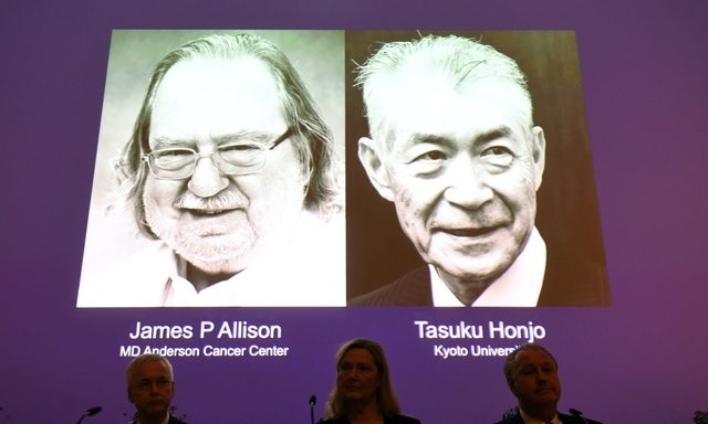 اهدای نوبل ۲۰۱۸ پزشکی به دو محقق آمریکایی و ژاپنی برای درمان سرطان