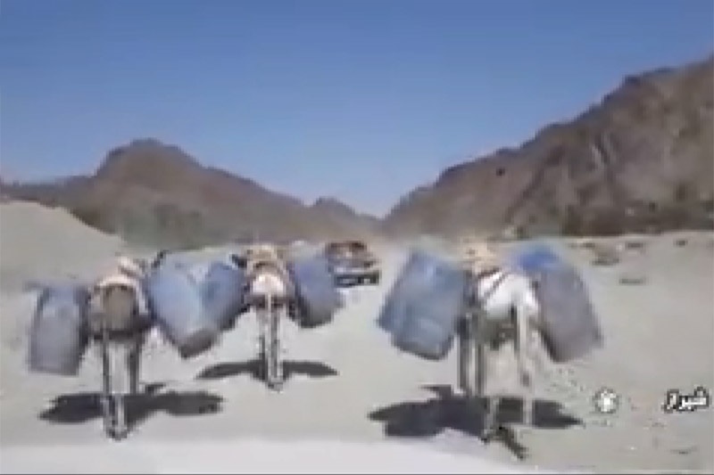 فیلم | این تصاویر واقعی است! | مراحل قاچاق سوخت از شیراز تا مرز پاکستان