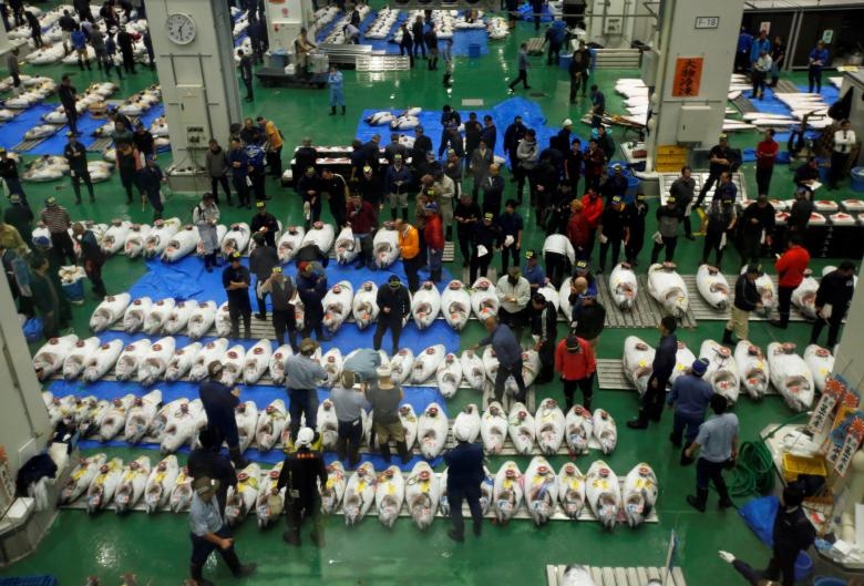 تصاویر | آغاز به‌کار بزرگترین بازار ماهی جهان در توکیو