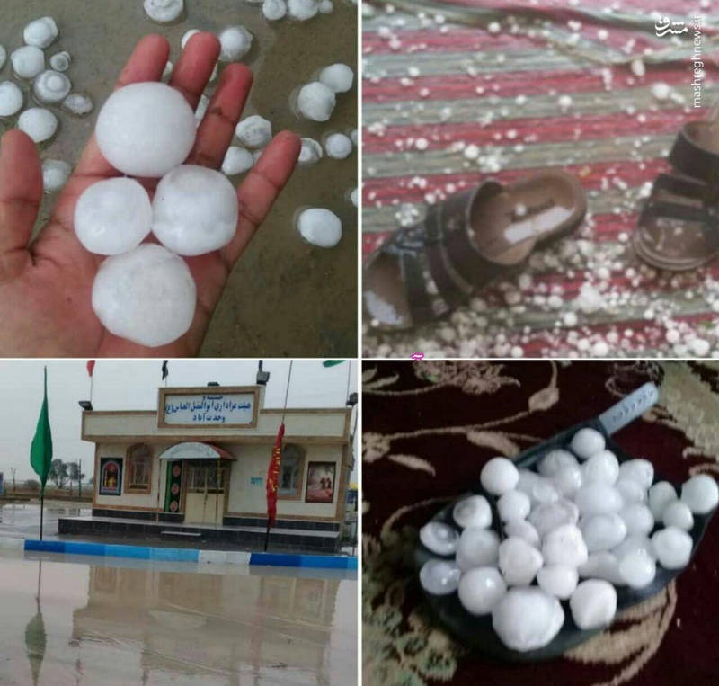 عکس | تگرگ‌های تخم‌مرغی که در بوشهر بارید!
