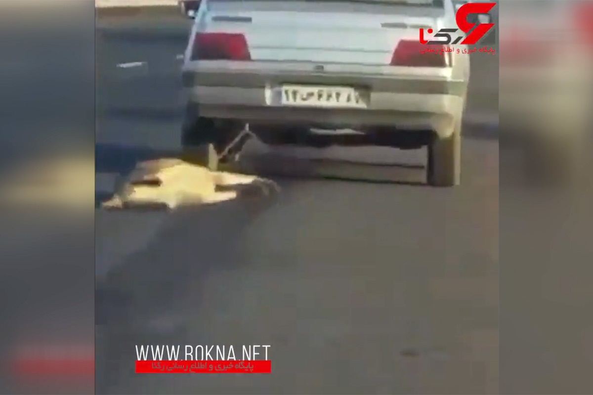 فیلم | شکنجه بی‌رحمانه یک سگ توسط راننده پژو!