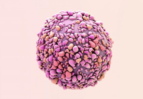مبارزه با سلول بنیادی سرطانی با آنتی‌بیوتیکی به نام داکسی سایکلین