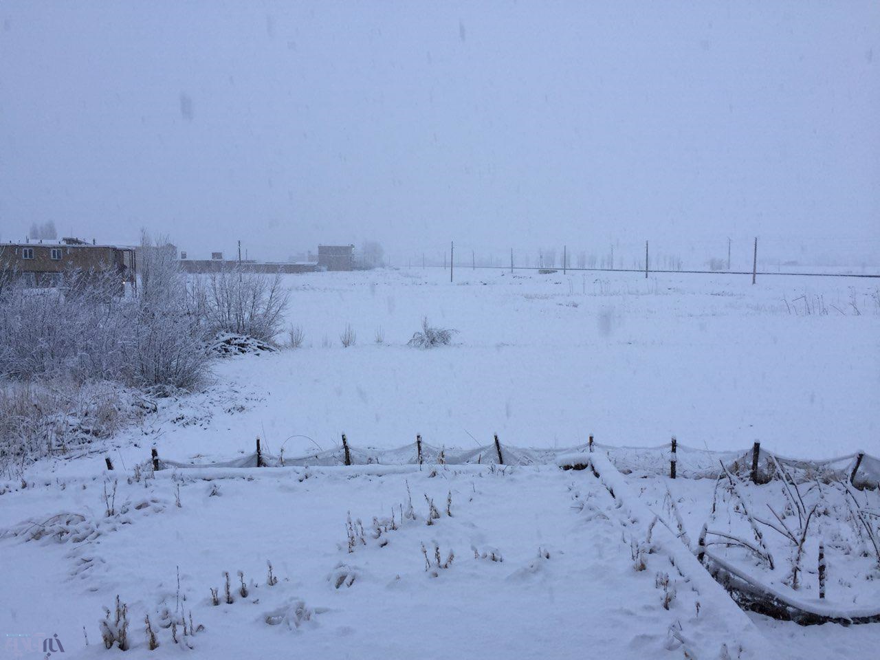 تصاویر | بارش برف در آذربایجان‌غربی
