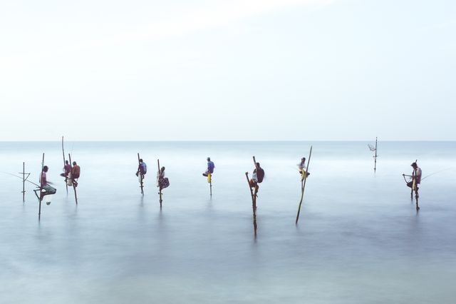 عکس | روش خاص ماهیگیران سریلانکایی در عکس روز نشنال جئوگرافیک