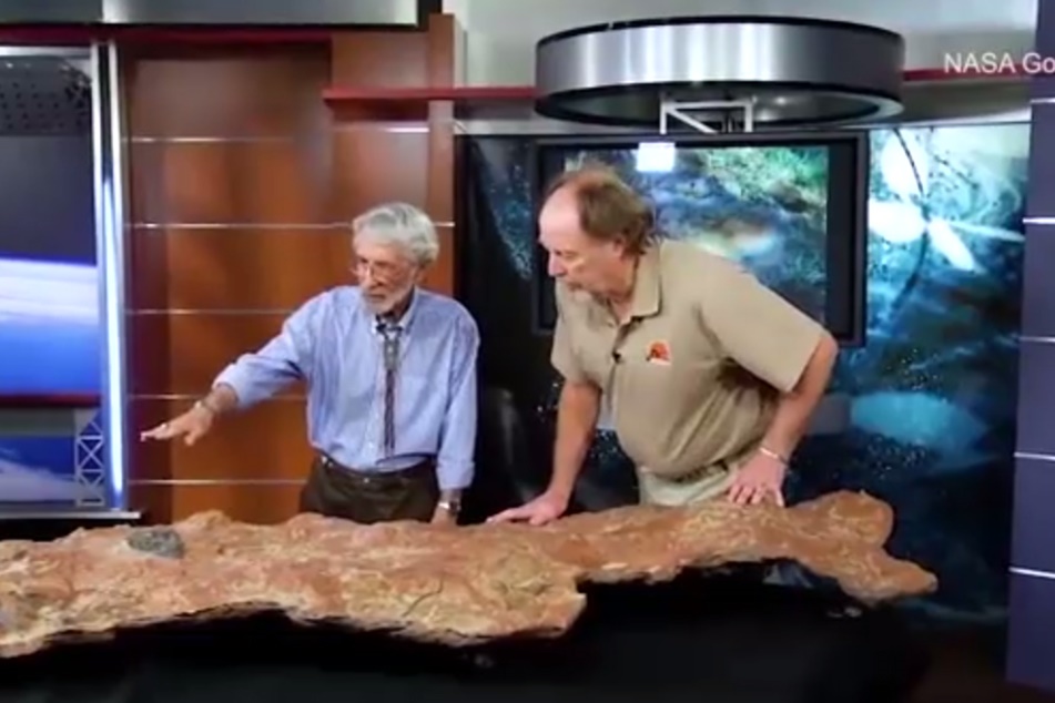 فیلم | فسیل ۱۱۰ میلیون ساله که در پارکینگ ناسا کشف شد