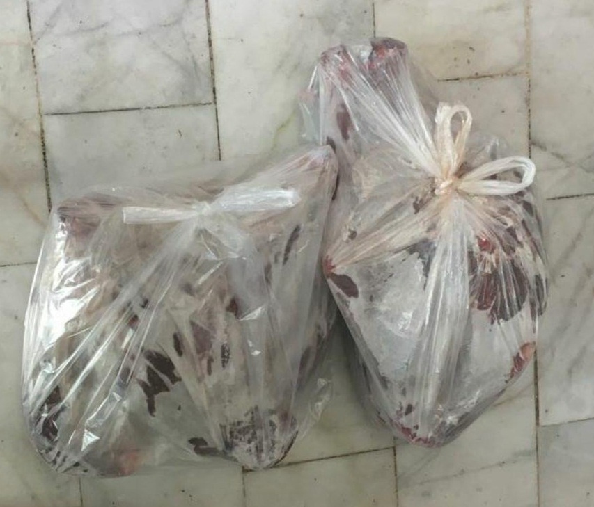 کشف لاشه قوچ وحشی در مغازه قنادی در تهران
