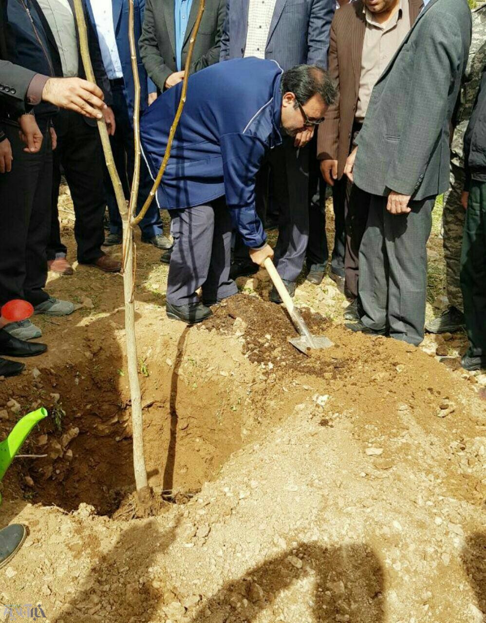 ضرورت کاشت درختان مثمر در اراضی شیب‌دار لرستان