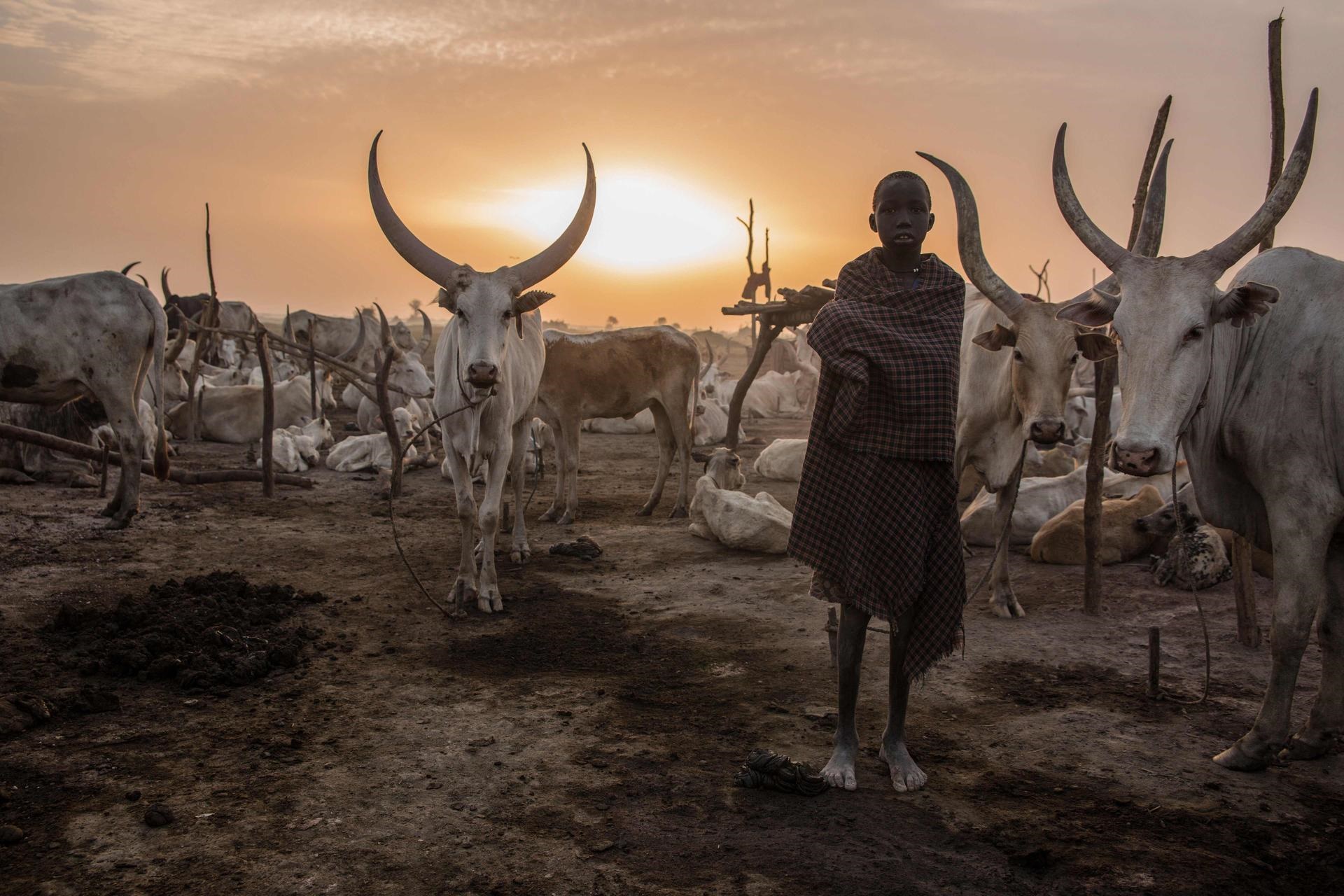 تصاویر | روزگار مرموز گله‌داران یک قبیله در سودان