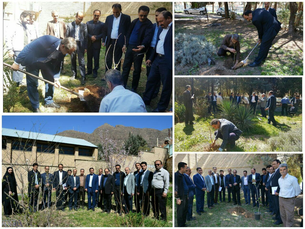 درختکاری در اداره کل و مراکز آموزش فنی و حرفه ای لرستان