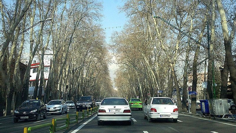 فیلم | حال خوش به خیابان ولی‌عصر بازمی‌گردد | کاشت ۷۴۰ چنار ۱۵ ساله در طولانی‌ترین خیابان خاورمیانه
