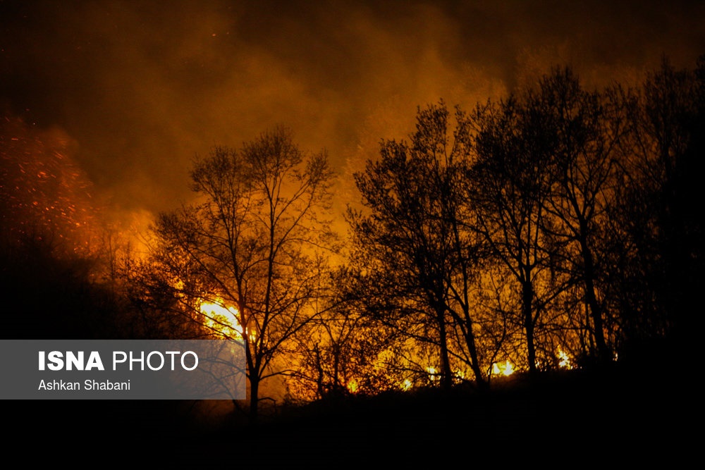 تصاویر | آتش‌سوزی در جنگل‌های لاهیجان
