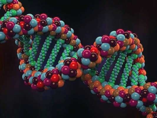 نتایج جالب بزرگ‌ترین شجره‌نامه جهان: ژن خوب، ۵ سال به عمرتان اضافه می‌کند