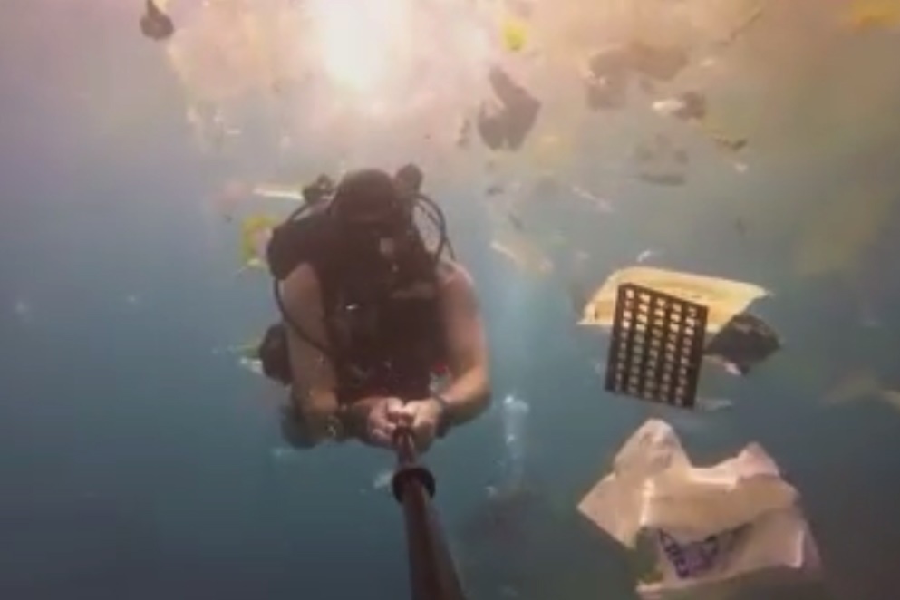 فیلم | ویدئوی تکان‌دهنده غواص انگلیسی از دریای زباله در سواحل بالی 