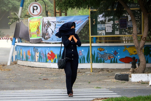 وزش باد شدید در تهران از بعدازظهر/ کاهش نسبی دما تا دو روز آینده