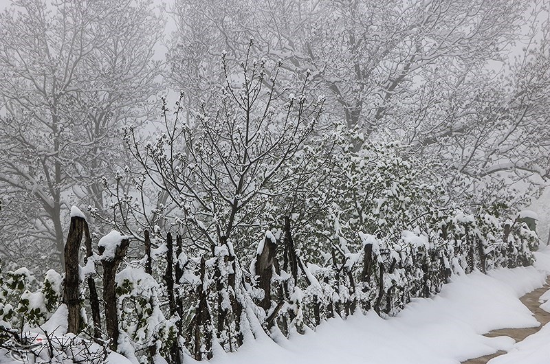 بارش برف بهاری در آواجیق چالدران/ عکس
