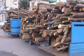 کشف ۳ تن محموله قاچاق چوب در زنجان