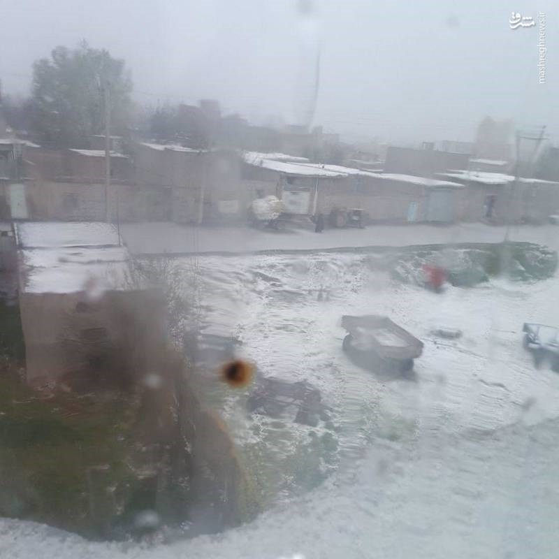 عکس | بارش برف بهاری در اردبیل