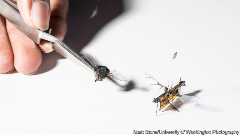 پرواز اولین حشره رباتیک توسط محققان دانشگاه واشنگتن/ عکس