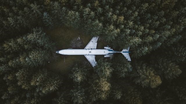 عکس | زندگی در هواپیمای بازنشسته در عکس روز نشنال جئوگرافیک