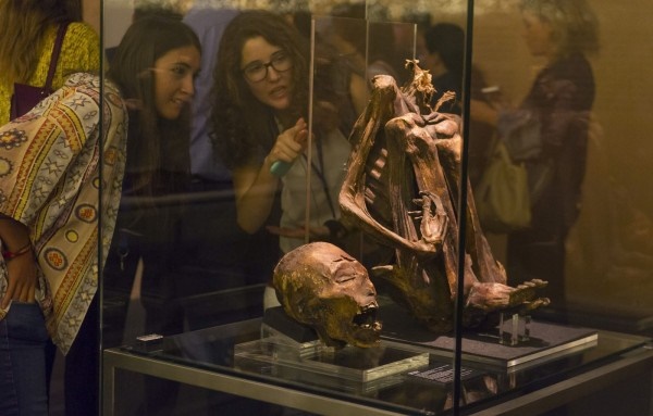 فیلم | اولین موزه مومیایی‌های جهان باز شد