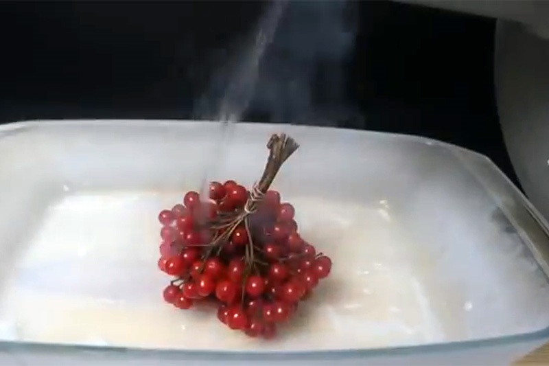 فیلم | تجربه بی‌نظیر شست‌وشوی میوه و سبزی با نیتروژن مایع!