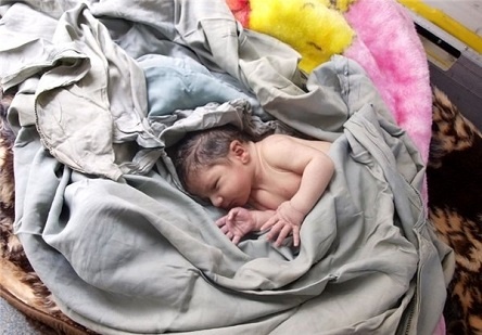 هر روز یک نوزاد در فارس رها می شود