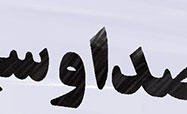 اینم گاوداری صداوسیما!