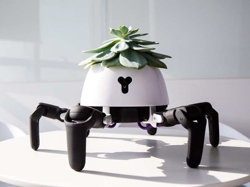بهترین ربات برای گل‌های خانگی/ عکس