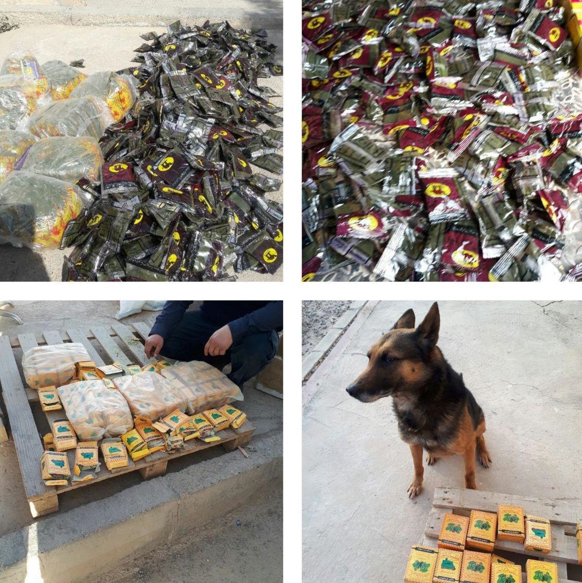 عکس | کشف ۱۳ کیلوگرم مخدر خطرناک «پان» در مرز افغانستان