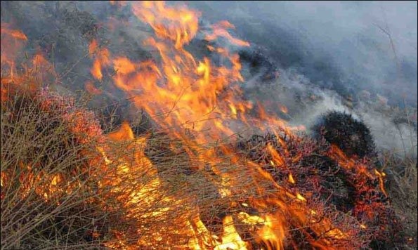 احتمال وقوع آتش‌سوزی در جنگل‌ها و مراتع آذربایجان غربی