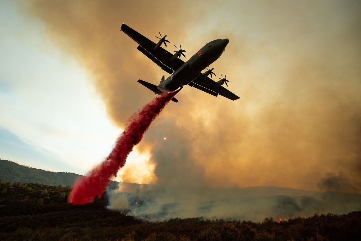 تصاویر هولناک از آتش‌سوزی کالیفرنیا / آتشی به وسعت ۴ برابر تهران/ ترامپ و تغییر اقلیم مقصرند!