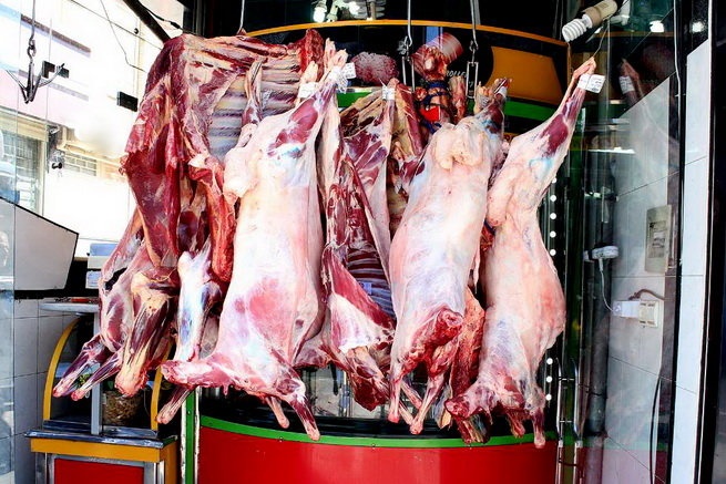 تولید گوشت گوساله بیشتر بود یا گوسفند؟/ کاهش ٤ درصدی تولید گوشت در کشتارگاه‌های رسمی