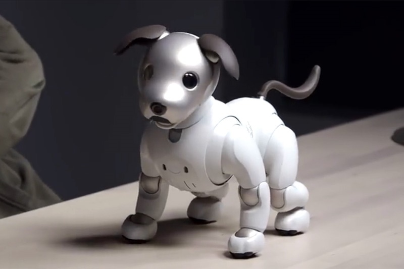 فیلم | سگ ۳۰۰۰ دلاری سونی یک روبات است!