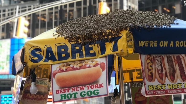 تصاویر | حمله ۴۰ هزار زنبور به میدان تایمز نیویورک