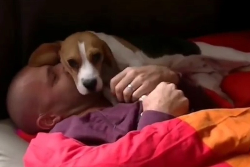 فیلم | سگی که بعد از یک‌سال صاحبش را می‌بیند