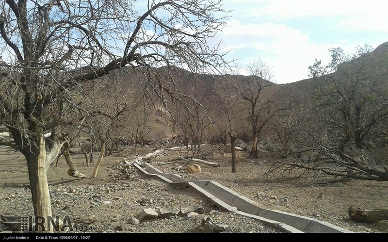 خشک‌سالی ۸۰ درصدی باغات استان چهارمحال وبختیاری