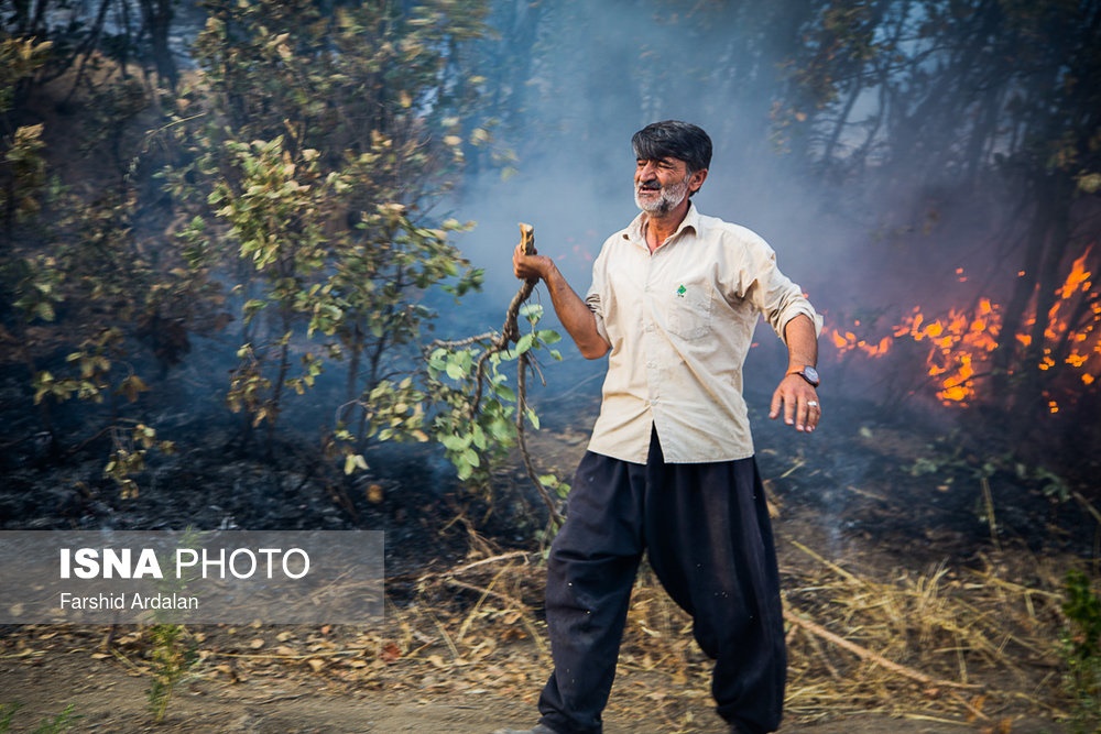 تصاویر | آتش‌سوزی دوباره در جنگل‌های مریوان