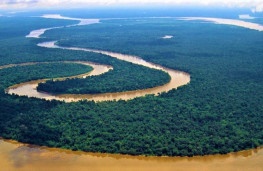 تاثیر گرمایش زمین بر خشکسالی رودخانه آمازون