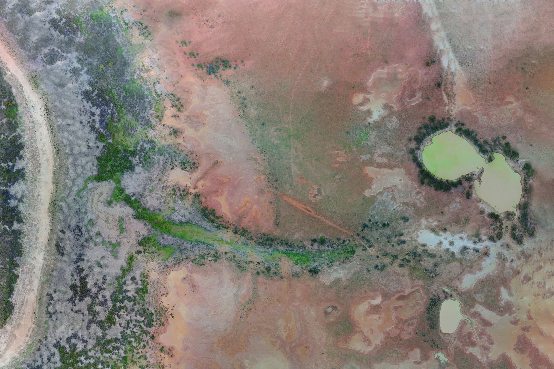 تصاویر | خشکسالی به استرالیا هم رسید