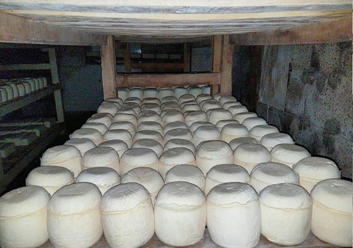 شناسنامه‌دار شدن پنیر کوزه‌ای ارومیه
