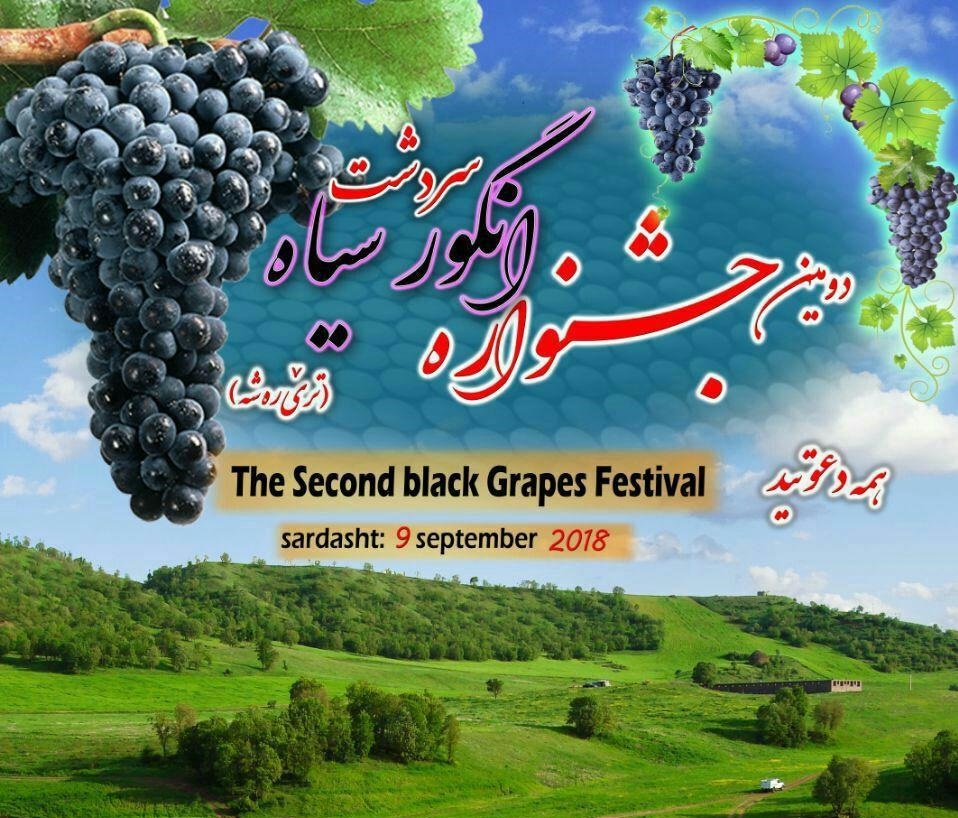 سردشت، خاستگاه انگور سیاه جهان میزبان دومین جشنواره