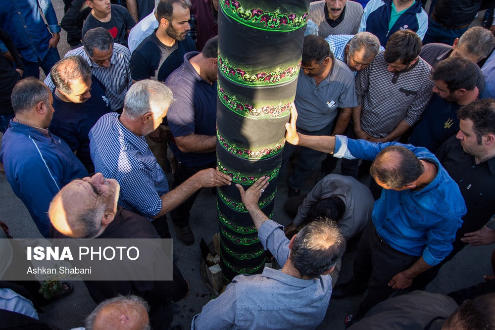 تصاویر | قطع درختان بلند برای ساخت علامت محرم